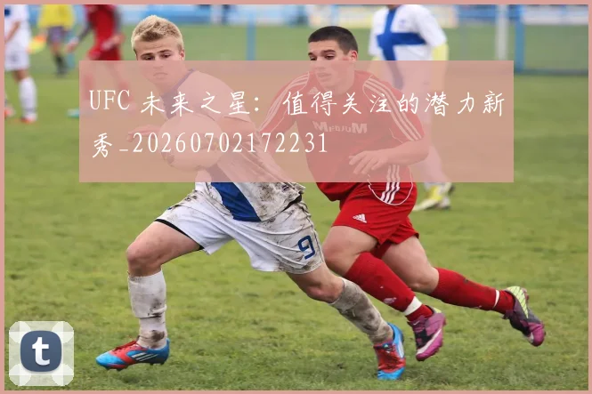 UFC 未来之星：值得关注的潜力新秀_20260702172231