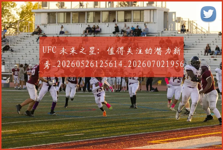 UFC 未来之星：值得关注的潜力新秀_20260526125614_20260702195626